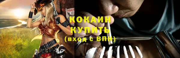 гидра Белокуриха