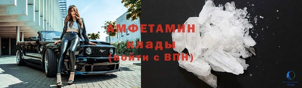гидра Белокуриха