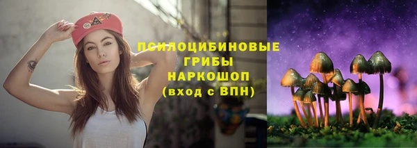 гидра Белокуриха