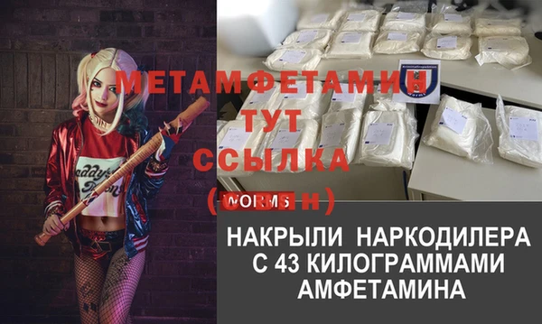 гидра Белокуриха