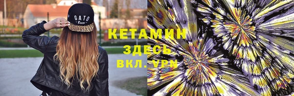 гидра Белокуриха