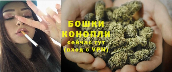 гидра Белокуриха