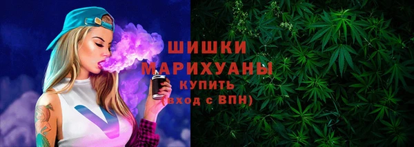 гидра Белокуриха