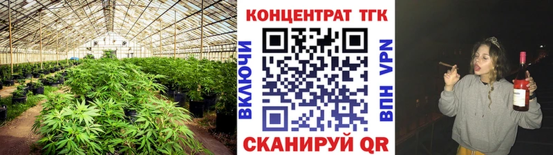 ТГК Wax  где продают   Ельня 