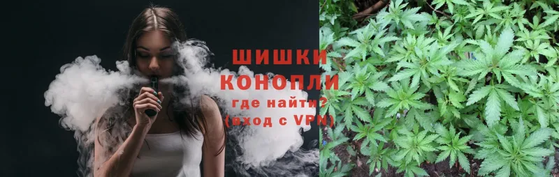 Бошки Шишки White Widow  купить закладку  Ельня 